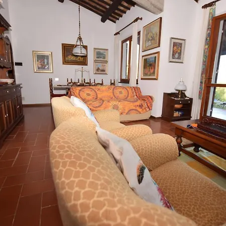 Palombaia Apartment *